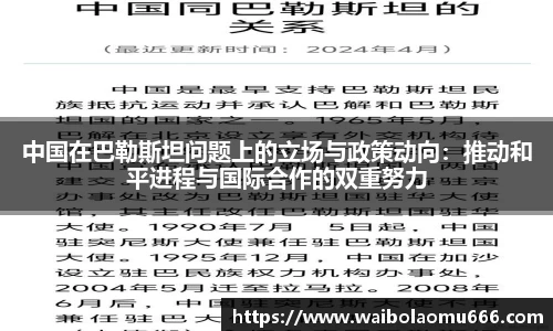中国在巴勒斯坦问题上的立场与政策动向：推动和平进程与国际合作的双重努力