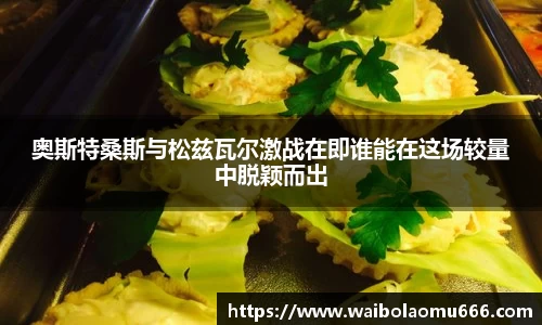奥斯特桑斯与松兹瓦尔激战在即谁能在这场较量中脱颖而出